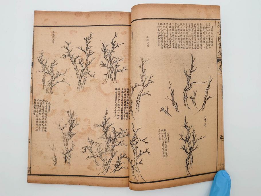 中国　上海天宝書局　「芥子園画伝」　唐本　4帙　16冊セット(木版画、古書、和本)(R-083906)