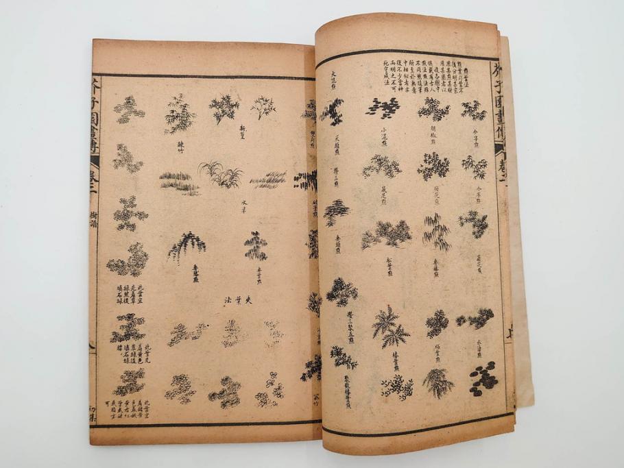 中国　上海天宝書局　「芥子園画伝」　唐本　4帙　16冊セット(木版画、古書、和本)(R-083906)