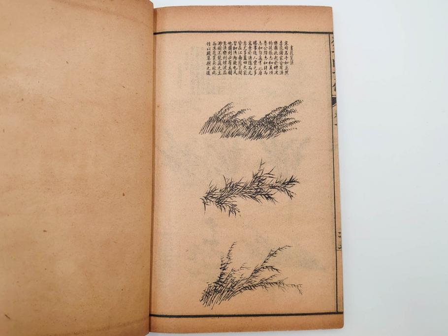 中国　上海天宝書局　「芥子園画伝」　唐本　4帙　16冊セット(木版画、古書、和本)(R-083906)