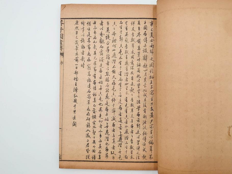 中国　上海天宝書局　「芥子園画伝」　唐本　4帙　16冊セット(木版画、古書、和本)(R-083906)