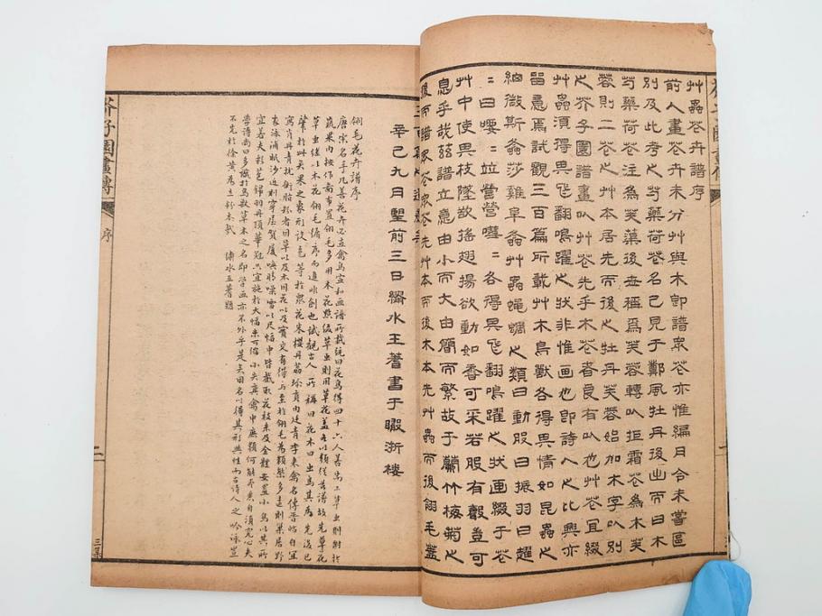 中国　上海天宝書局　「芥子園画伝」　唐本　4帙　16冊セット(木版画、古書、和本)(R-083906)