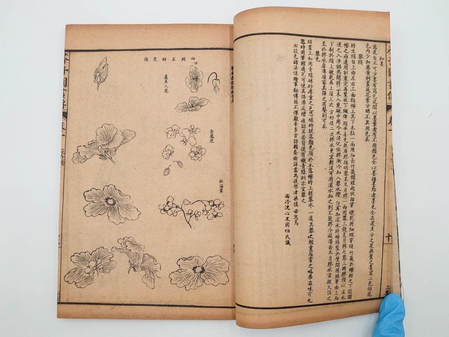 中国　上海天宝書局　「芥子園画伝」　唐本　4帙　16冊セット(木版画、古書、和本)(R-083906)