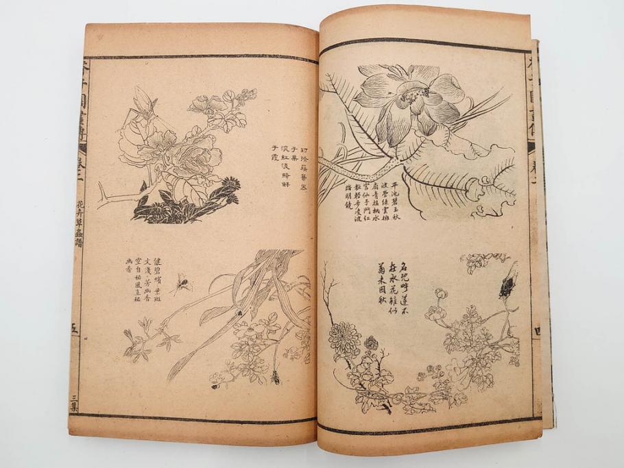 中国　上海天宝書局　「芥子園画伝」　唐本　4帙　16冊セット(木版画、古書、和本)(R-083906)