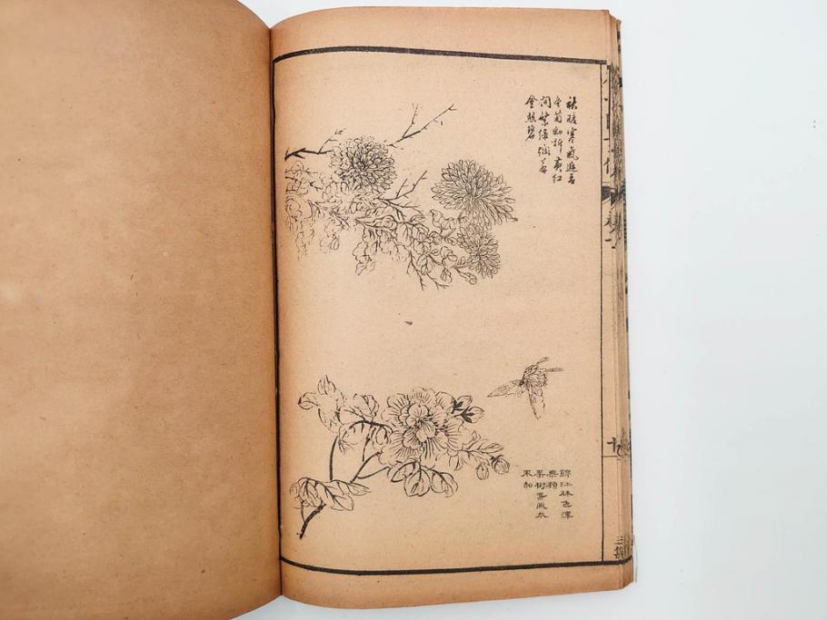 中国　上海天宝書局　「芥子園画伝」　唐本　4帙　16冊セット(木版画、古書、和本)(R-083906)
