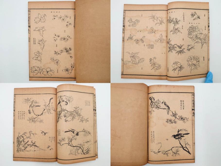 中国　上海天宝書局　「芥子園画伝」　唐本　4帙　16冊セット(木版画、古書、和本)(R-083906)
