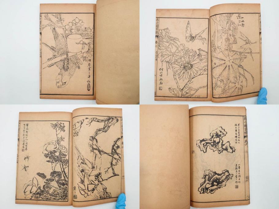 中国　上海天宝書局　「芥子園画伝」　唐本　4帙　16冊セット(木版画、古書、和本)(R-083906)