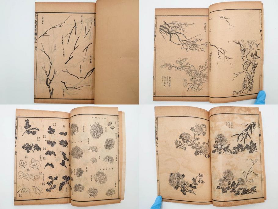 中国　上海天宝書局　「芥子園画伝」　唐本　4帙　16冊セット(木版画、古書、和本)(R-083906)