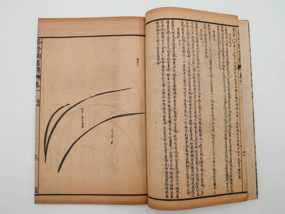 中国　上海天宝書局　「芥子園画伝」　唐本　4帙　16冊セット(木版画、古書、和本)(R-083906)