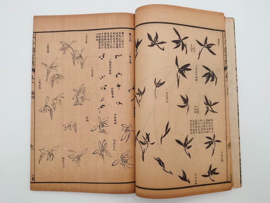 中国　上海天宝書局　「芥子園画伝」　唐本　4帙　16冊セット(木版画、古書、和本)(R-083906)