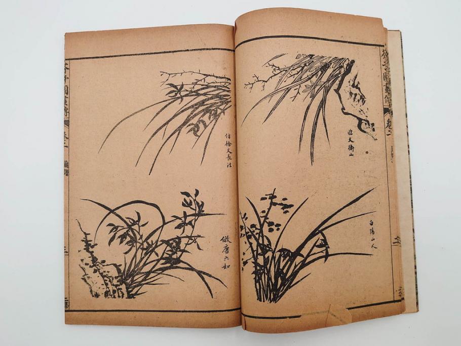 中国　上海天宝書局　「芥子園画伝」　唐本　4帙　16冊セット(木版画、古書、和本)(R-083906)