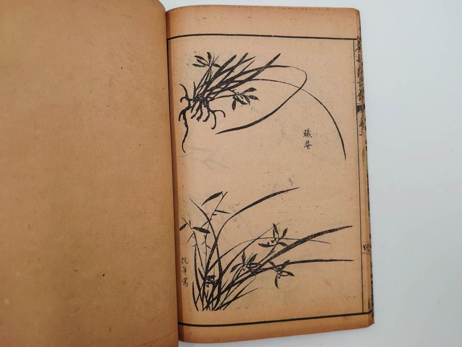 中国　上海天宝書局　「芥子園画伝」　唐本　4帙　16冊セット(木版画、古書、和本)(R-083906)