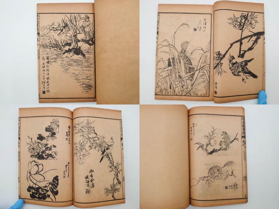 中国　上海天宝書局　「芥子園画伝」　唐本　4帙　16冊セット(木版画、古書、和本)(R-083906)