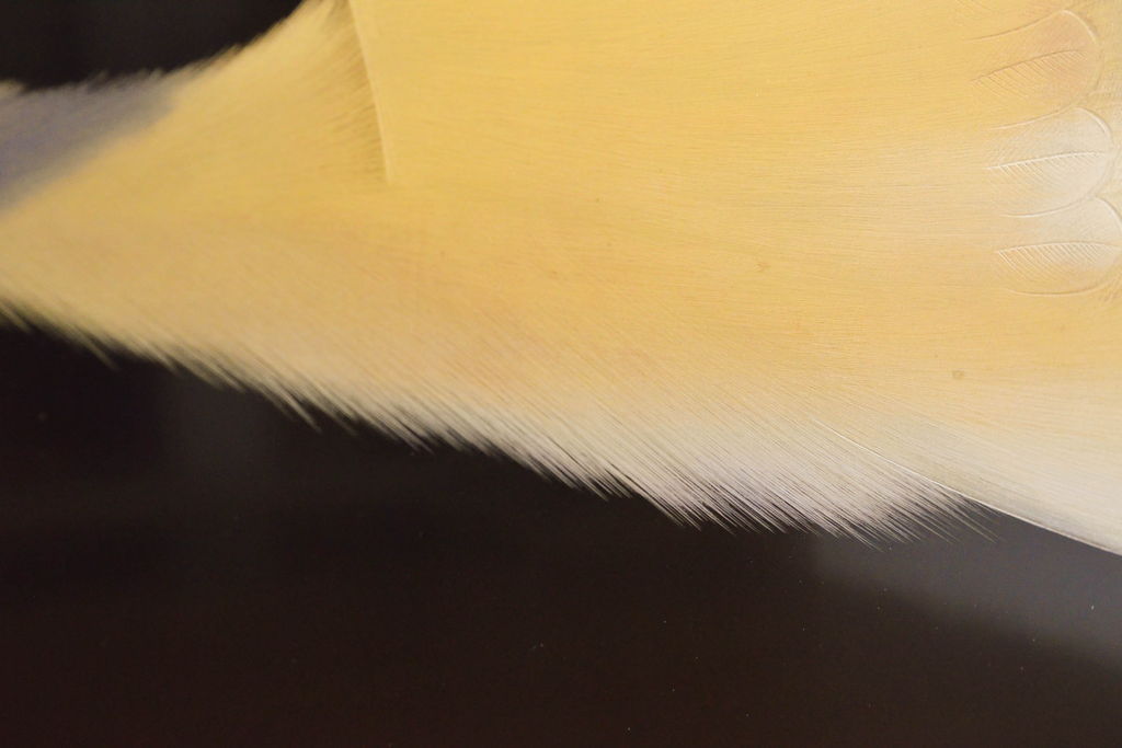 中古　輪島塗り　加治武作　飛び立つ鶴の美しさに目が奪われる衝立て(仕切り、パーテーション、つい立て)(R-062225)