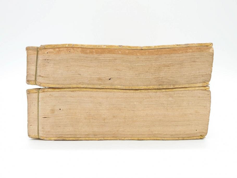 江戸期　江戸大節用海内蔵　乾坤2冊揃い(版画、古書、和本、古地図、古文書、彩色絵図、朝鮮国、蝦夷、琉球、萬国図、富士山、日光、筑波山)(R-077222)