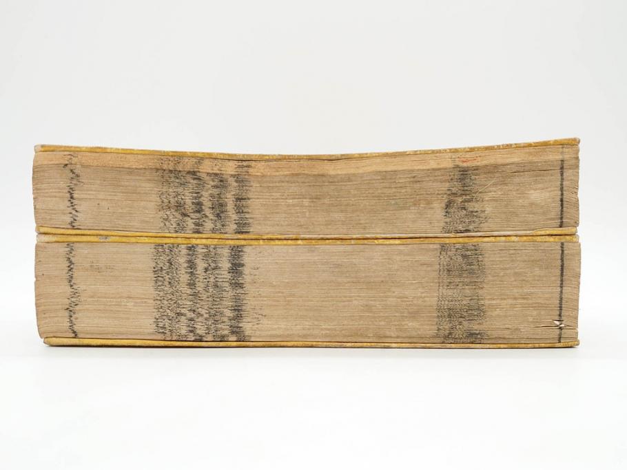 江戸期　江戸大節用海内蔵　乾坤2冊揃い(版画、古書、和本、古地図、古文書、彩色絵図、朝鮮国、蝦夷、琉球、萬国図、富士山、日光、筑波山)(R-077222)