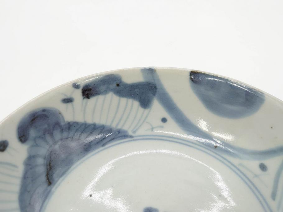 江戸期 古伊万里 染付 草花文 五弁花文 約14cm 4.4寸 落ち着いた