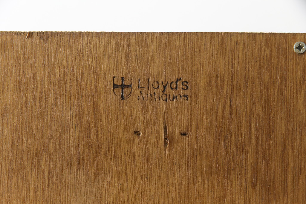 イギリスビンテージ　Lloyd's Antiques(ロイズ・アンティークス)取り扱い　オーク材　前面ガラスの引き出しがお洒落な縦型シャツケース(チェスト、引き出し、ドロワー、英国、ヴィンテージ)(R-077209)