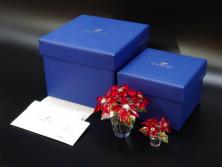 オーストリア　SWAROVSKI(スワロフスキー)　ポインセチア　高さ8cm/4.5cm　キラキラと輝く華やかなクリスタルオブジェ2点セット(クリスマスデコレーション、クリスタルガラス、置物、ディスプレイ、箱付き)(R-077775)