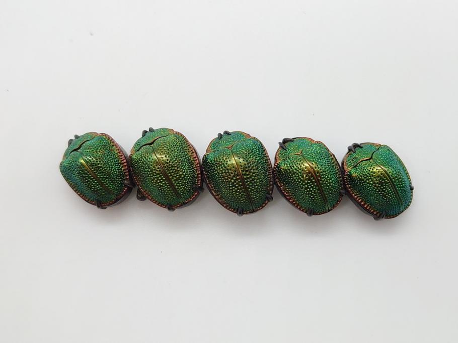 珍品　希少　セミアンティーク　三越　黄金虫(こがねむし)　5連　非常に珍しい縁起物の黄金虫が精巧にデザインされた帯留め(金属製、帯締め、着物道具、和装小物、アクセサリー、ケース付き)(R-062514)