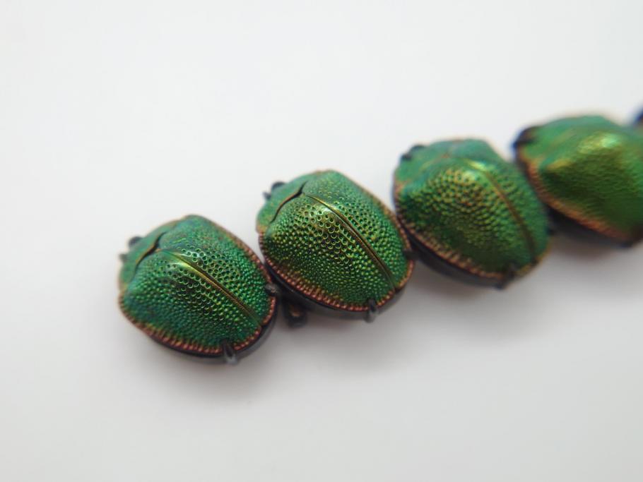 珍品　希少　セミアンティーク　三越　黄金虫(こがねむし)　5連　非常に珍しい縁起物の黄金虫が精巧にデザインされた帯留め(金属製、帯締め、着物道具、和装小物、アクセサリー、ケース付き)(R-062514)