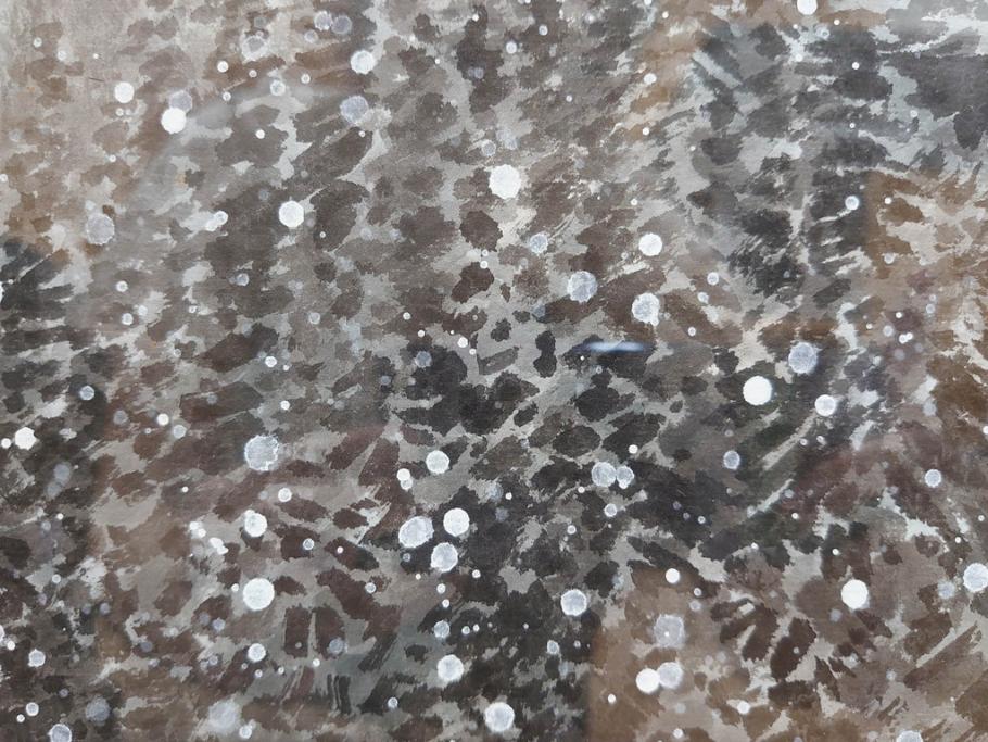 真作　橋本広喜　「冬の集落」　降り積もる山村の雪景色が美しい墨彩画(冬、雪、集落、山、額付き、外箱付き)(R-077926)