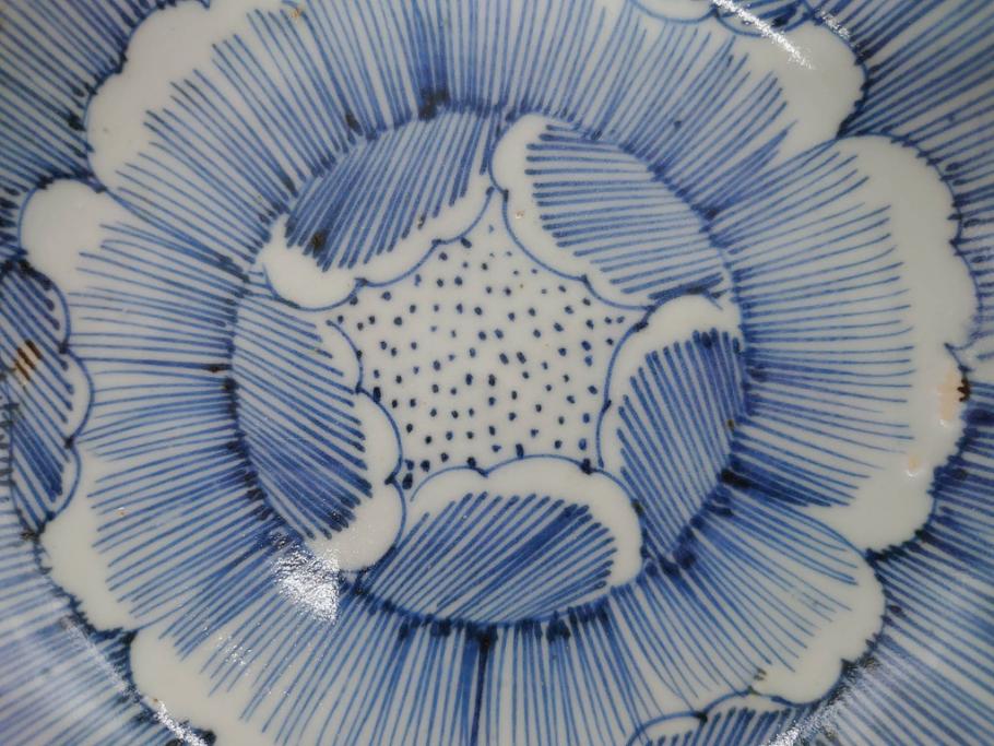 江戸後期　伊万里　線描き　約14cm　4.5寸　上品な大輪の牡丹が目を引くなます皿2枚セット(花、小皿、和皿、四寸五分、和食器)(R-078252)