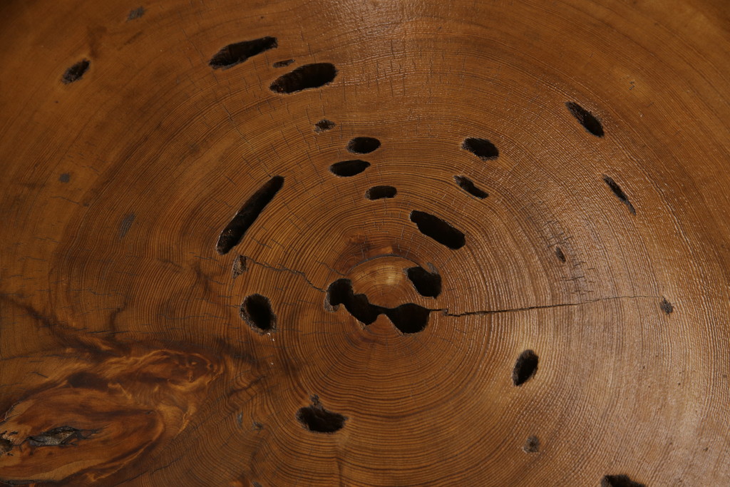 中古　特大　屋久杉を輪切りにした天板が存在感を放つ座卓(ローテーブル、センターテーブル)(定価約80万円)(R-060894)