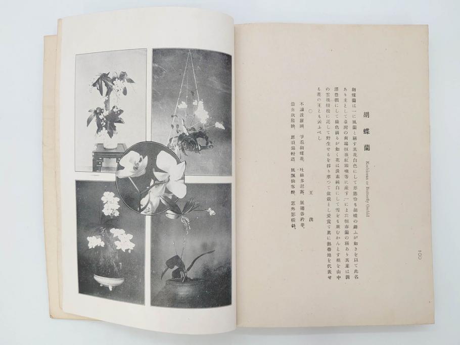 戦前　台湾総督府官房文書課(明治41年(1908年))　台湾写真帳(臺灣寫眞帖)(古本、田山宗堯)(R-071740)