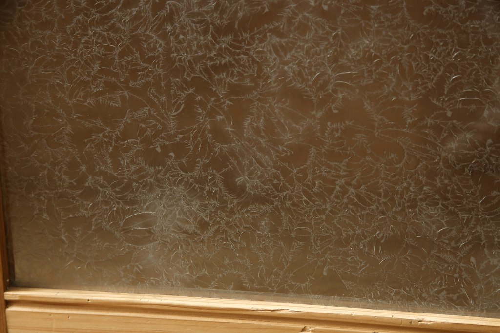 和製アンティーク　杉材　結霜ガラスがレトロな雰囲気を醸し出す本箱(ブックケース、本棚、戸棚、収納棚)(R-058898)