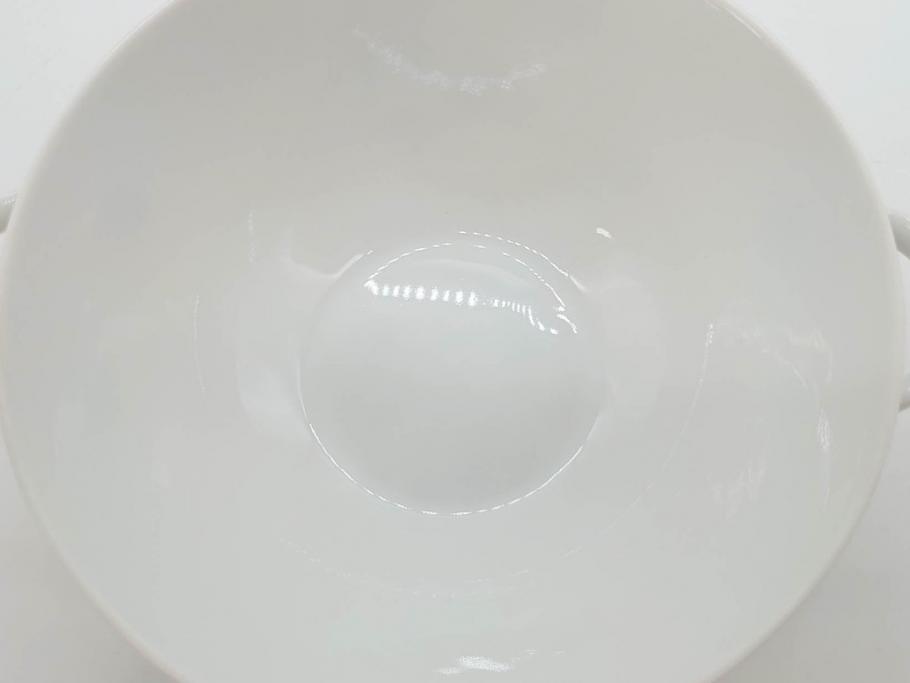 ドイツ　HUTSCHENREUTHER(フッチェンロイター)　ローズ　柔らかな色彩で描かれたバラのデザインが可愛らしいスープカップ&ソーサー6客セット(バラ、薔薇、ブルーローズ、ダブルハンドル、皿、プレート、洋食器)(R-078693)