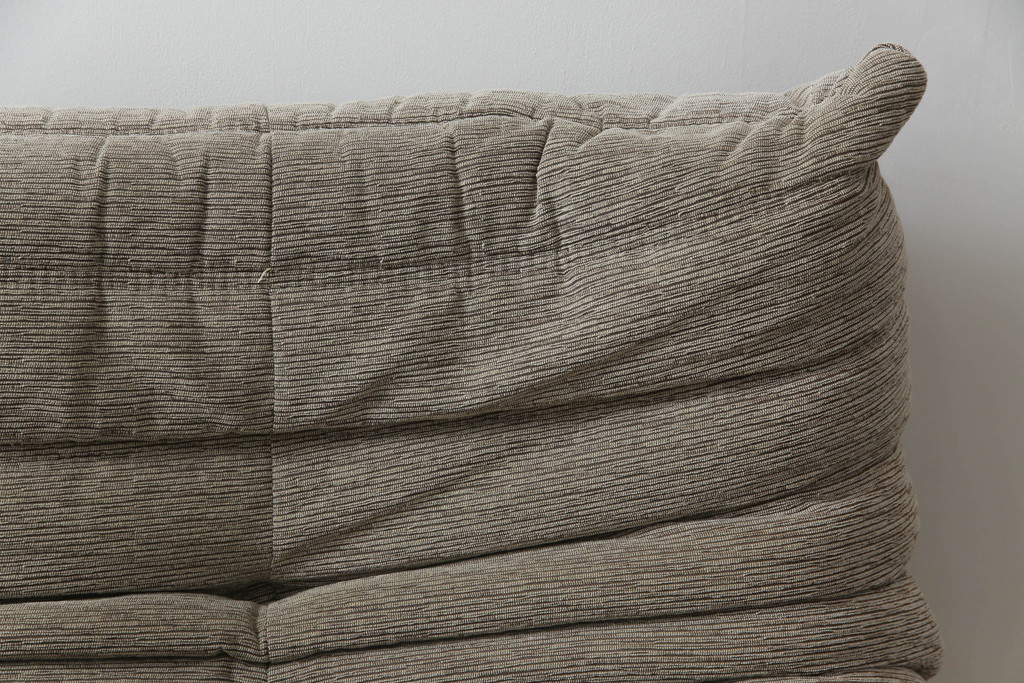 中古　フランス家具　ligne roset(リーン・ロゼ)　ROSETTOGO(ロゼトーゴ)　洗練されたモダンデザインが目を引く二人掛けソファ(リーンロゼ、2人掛け、ローソファ)(R-068619)