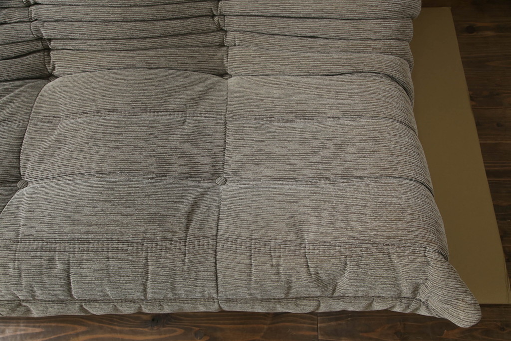中古　フランス家具　ligne roset(リーン・ロゼ)　ROSETTOGO(ロゼトーゴ)　洗練されたモダンデザインが目を引く二人掛けソファ(リーンロゼ、2人掛け、ローソファ)(R-068619)