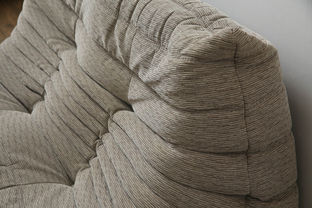 中古　フランス家具　ligne roset(リーン・ロゼ)　ROSETTOGO(ロゼトーゴ)　洗練されたモダンデザインが目を引く二人掛けソファ(リーンロゼ、2人掛け、ローソファ)(R-068619)