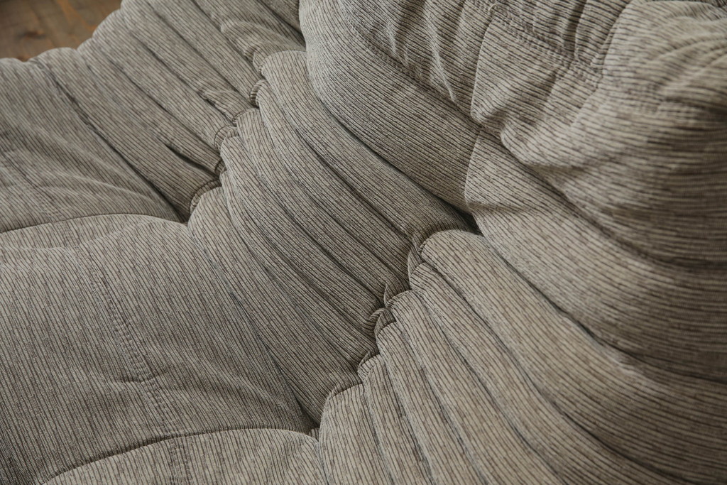 中古　フランス家具　ligne roset(リーン・ロゼ)　ROSETTOGO(ロゼトーゴ)　洗練されたモダンデザインが目を引く二人掛けソファ(リーンロゼ、2人掛け、ローソファ)(R-068619)