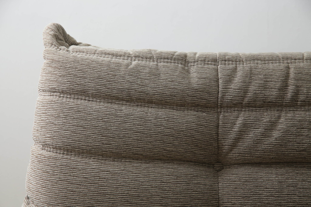 中古　フランス家具　ligne roset(リーン・ロゼ)　ROSETTOGO(ロゼトーゴ)　洗練されたモダンデザインが目を引く二人掛けソファ(リーンロゼ、2人掛け、ローソファ)(R-068619)