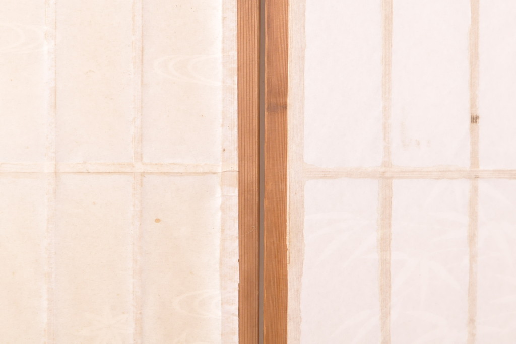 アンティーク建具　レトロな雰囲気の障子戸2枚(引き戸、建具)(R-054383)