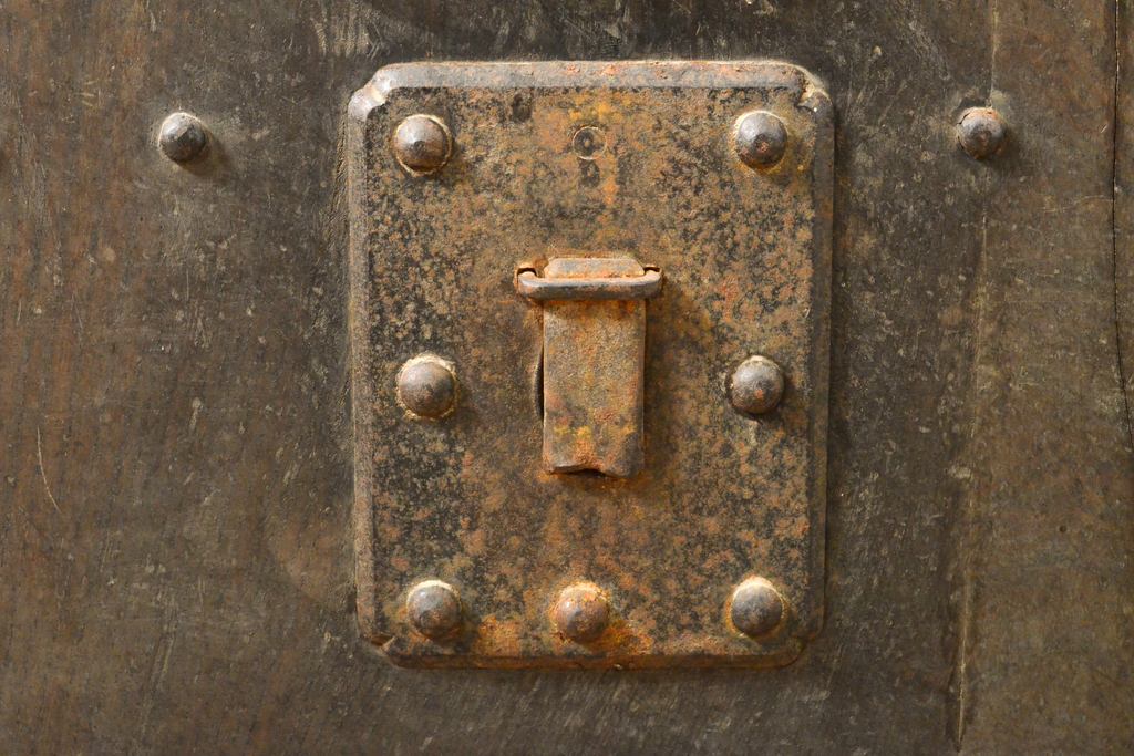 アンティーク建具　総欅(ケヤキ)材　和の貫禄を漂わせる金網入り格子蔵戸1枚(きつね格子、狐格子、玄関戸、引き戸、建具、格子戸、マス目、升目)(R-059223)