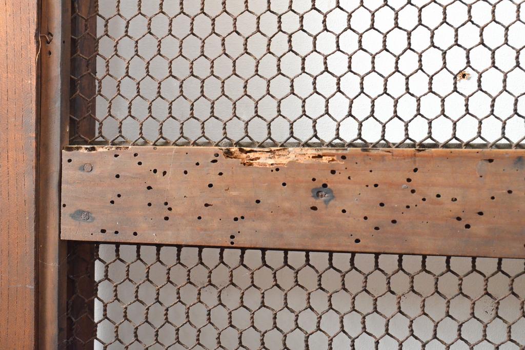 アンティーク建具　赤みがかった木色と大きな金具が目を引く格子蔵戸1枚(きつね格子、狐格子、玄関戸、引き戸、建具、格子戸、マス目、升目)(R-059224)