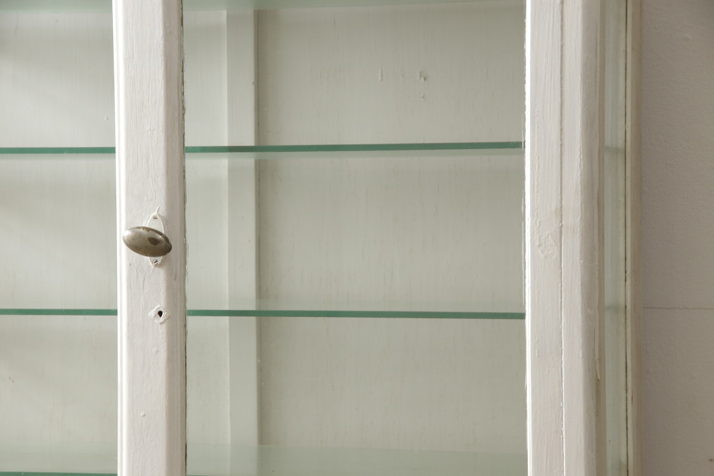 和製アンティーク　レトロな雰囲気を醸し出すケビントガラスケース(飾り棚、収納棚、戸棚、キャビネット)(R-059623)