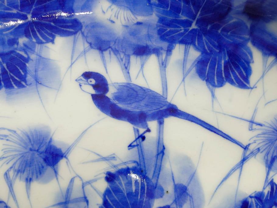 明治期　伊万里　染付　輪花型　約38cm　1尺2寸　丹念に絵付けされた花鳥や海老の図が見事な大皿(尺皿、陶器、エビ、海老、えび、風景、花鳥図、山水図、和食器、和皿、一尺二寸)(R-078890)