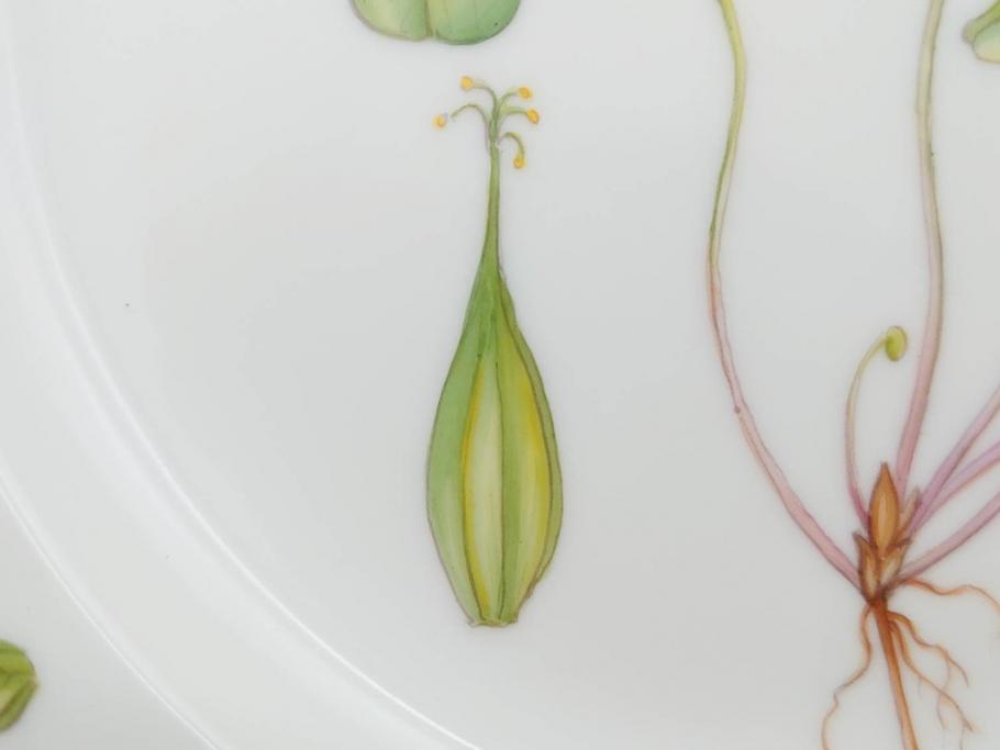 デンマーク　ROYAL COPENHAGEN(ロイヤルコペンハーゲン)　フローラダニカ　621　可憐な花のデザインが可愛らしいプレート(金彩、フラワー、ディッシュ、中皿、ケーキプレート、洋食器、北欧)(R-079045)
