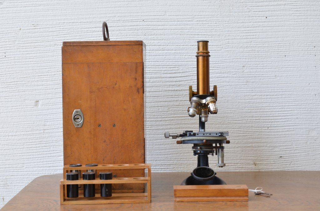 ○W&H SEIBERT WETZLAR顕微鏡