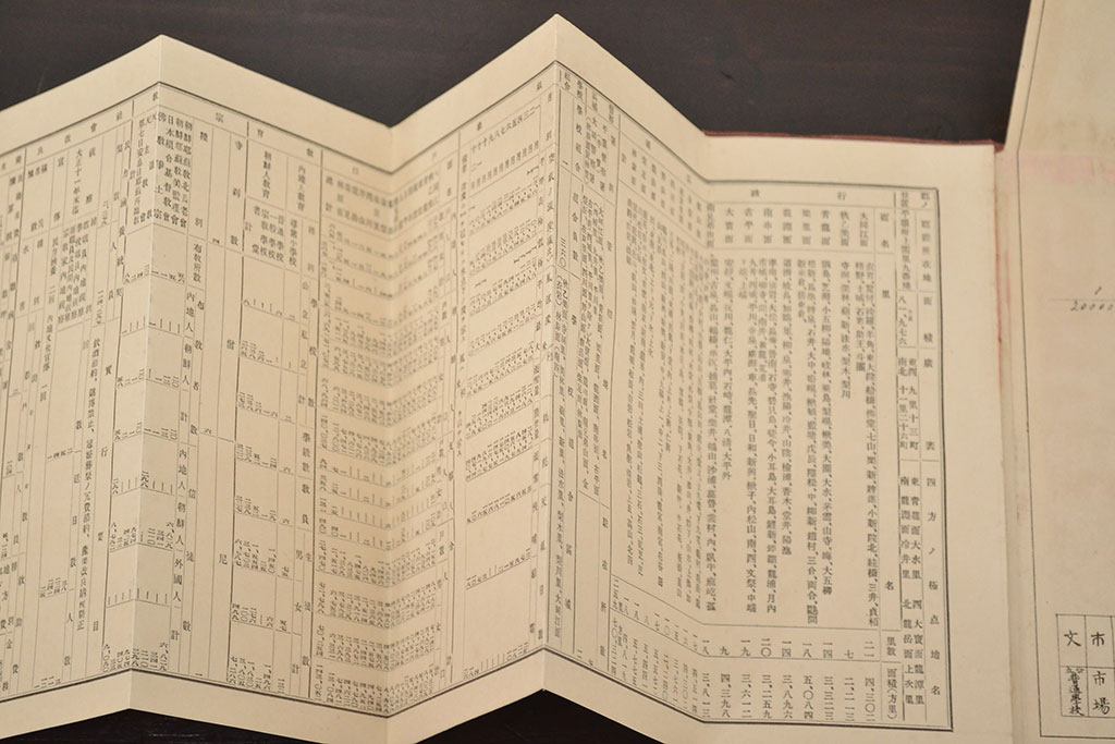アンティーク雑貨　大正十二年　大同郡勢一覧(平安南道、朝鮮古地図)(R-043074)