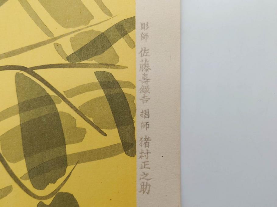 昭和32年12月作　神保朋世　版画(絵画、木版画、多色摺り、美人画、着物、女性、落款)(R-079291)