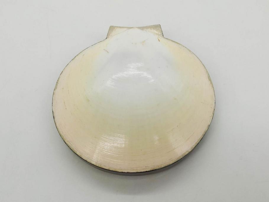 高木玉栄　荒磯　月日貝　上品な蒔絵とデザイン性に心惹かれる香合(シェル、鯛、魚、波紋、香道具、茶道具、蒔絵、木製、漆器、小物入れ、鵬雲斎書付き、共箱付き)(R-079308)