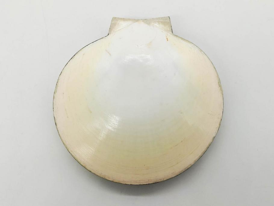 高木玉栄　荒磯　月日貝　上品な蒔絵とデザイン性に心惹かれる香合(シェル、鯛、魚、波紋、香道具、茶道具、蒔絵、木製、漆器、小物入れ、鵬雲斎書付き、共箱付き)(R-079308)