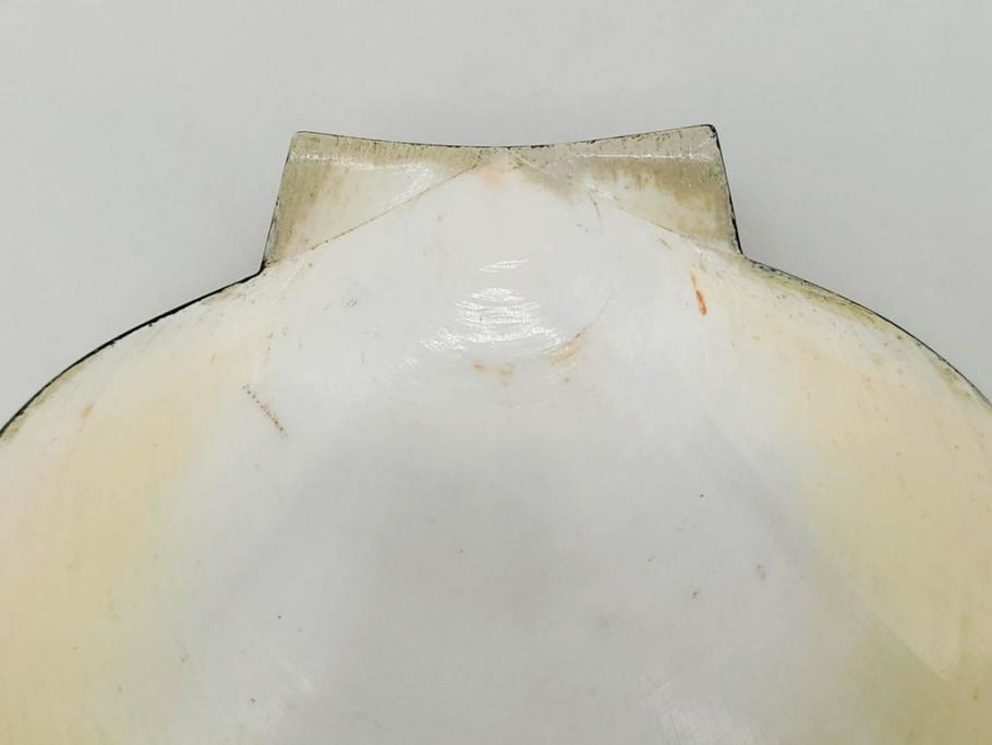 高木玉栄　荒磯　月日貝　上品な蒔絵とデザイン性に心惹かれる香合(シェル、鯛、魚、波紋、香道具、茶道具、蒔絵、木製、漆器、小物入れ、鵬雲斎書付き、共箱付き)(R-079308)