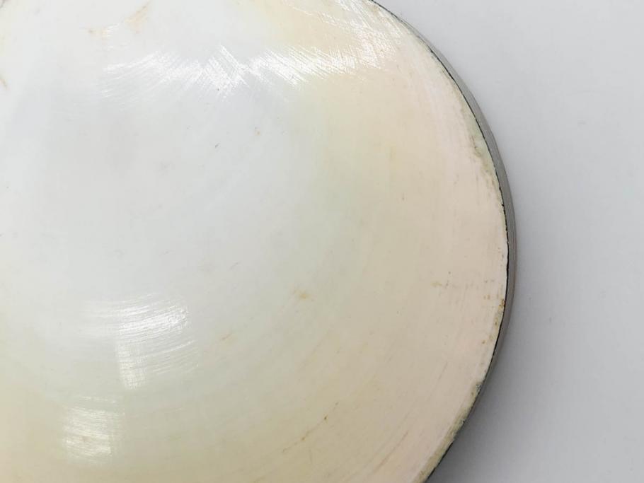 高木玉栄　荒磯　月日貝　上品な蒔絵とデザイン性に心惹かれる香合(シェル、鯛、魚、波紋、香道具、茶道具、蒔絵、木製、漆器、小物入れ、鵬雲斎書付き、共箱付き)(R-079308)