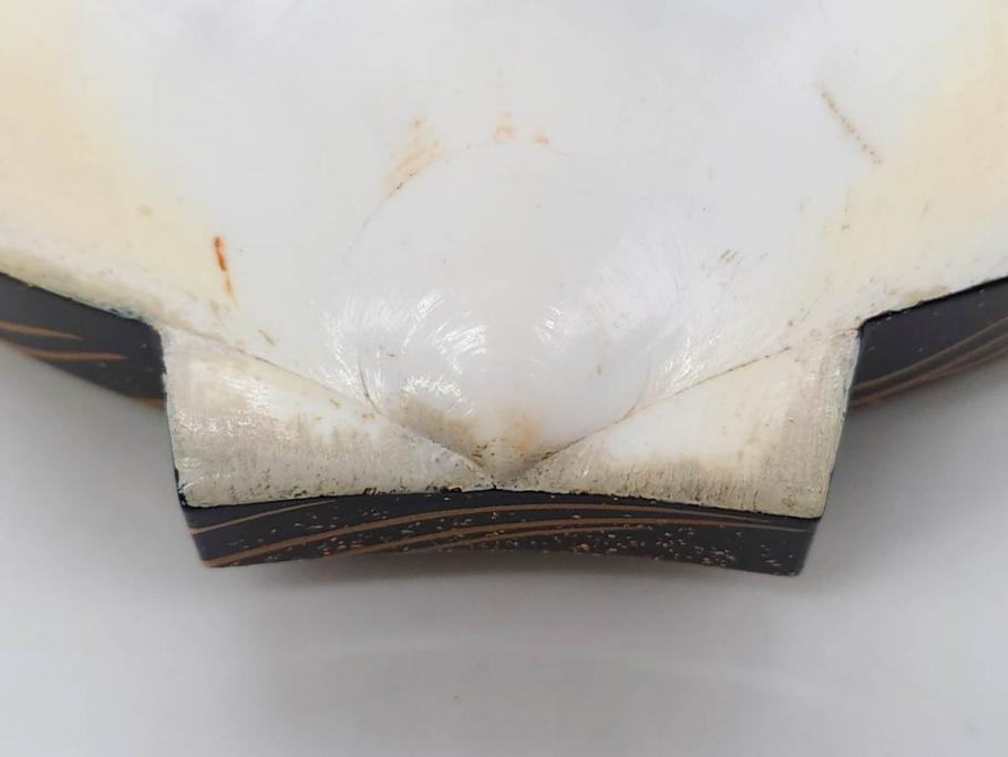 高木玉栄　荒磯　月日貝　上品な蒔絵とデザイン性に心惹かれる香合(シェル、鯛、魚、波紋、香道具、茶道具、蒔絵、木製、漆器、小物入れ、鵬雲斎書付き、共箱付き)(R-079308)