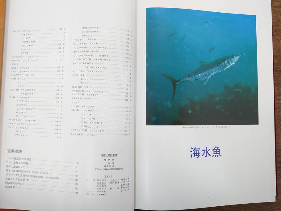昭和57年　魚譜 日本料理盛付精撰 日本食用魚介藻 大図鑑(著者 志の島忠、監修 末廣恭雄 阿部宗明 鈴木克美 益田一、グラフ社、本、古書、和食、指南書、レシピ、カバー付き、外箱付き)(R-079459)